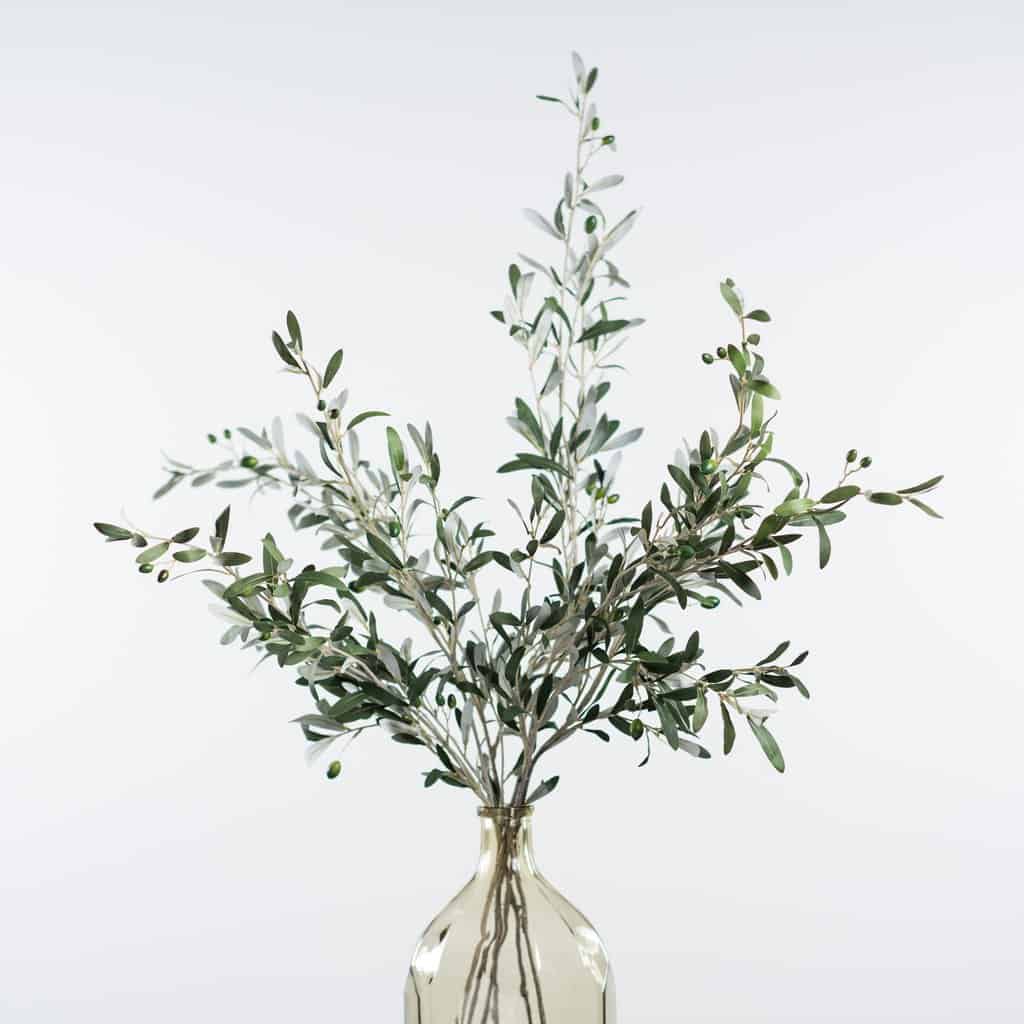 A glass vase filled with faux olive stems.
