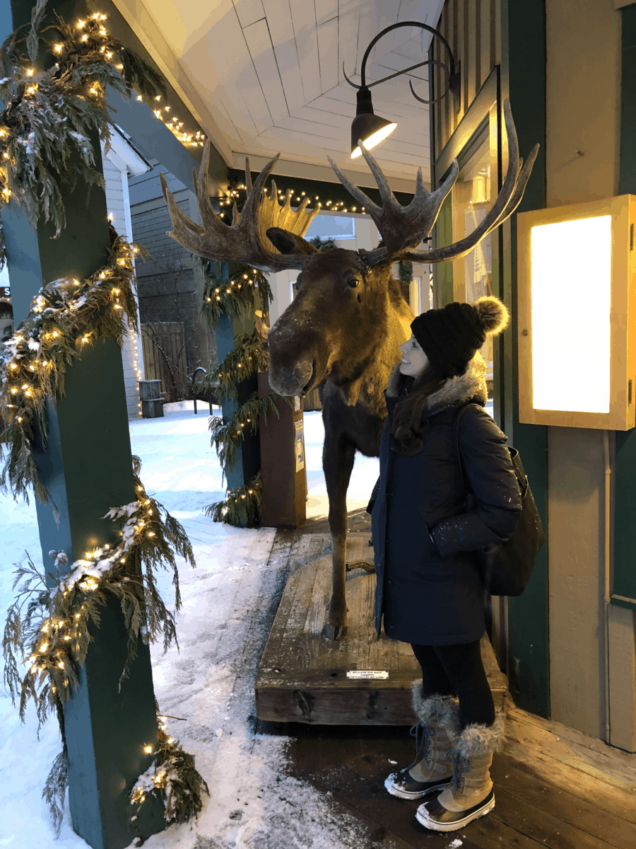 Winter Travel Recommendations - The Coastal Oak