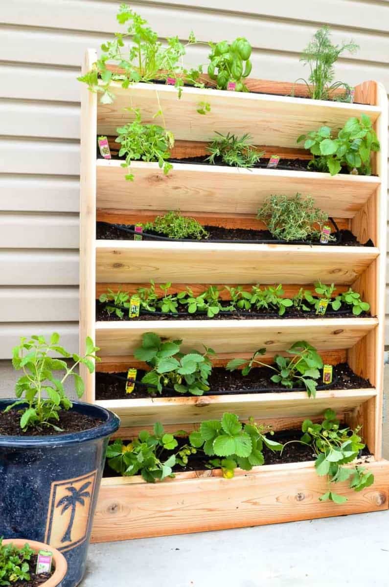 Vertical wood gardening beds with an innovated drip watering system house plants and vegetables on a concrete patio. DIY Raised Garden Bed Tutorial by Houseful of Handmade.