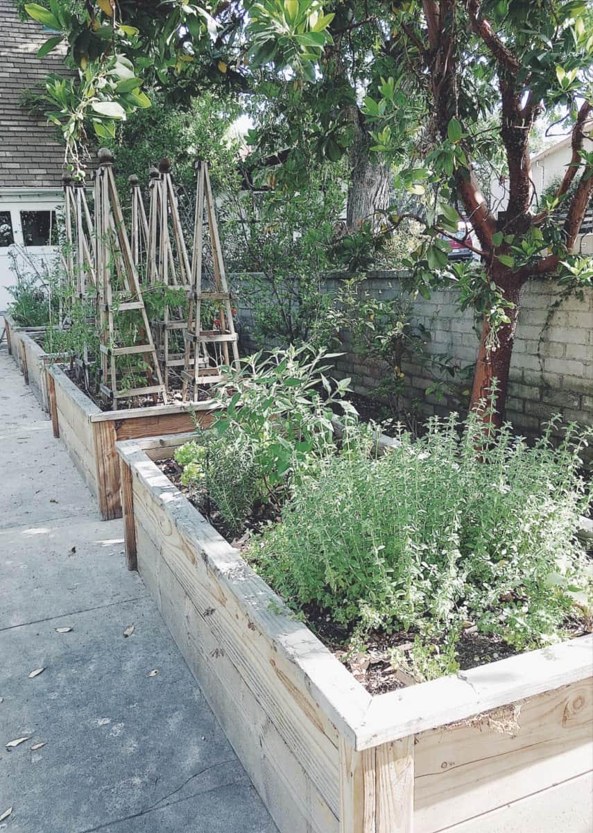 Four large raised vegetable beds built on a concrete porch - DIY Raised Garden Bed Tutorial by My 100 Year Old Home