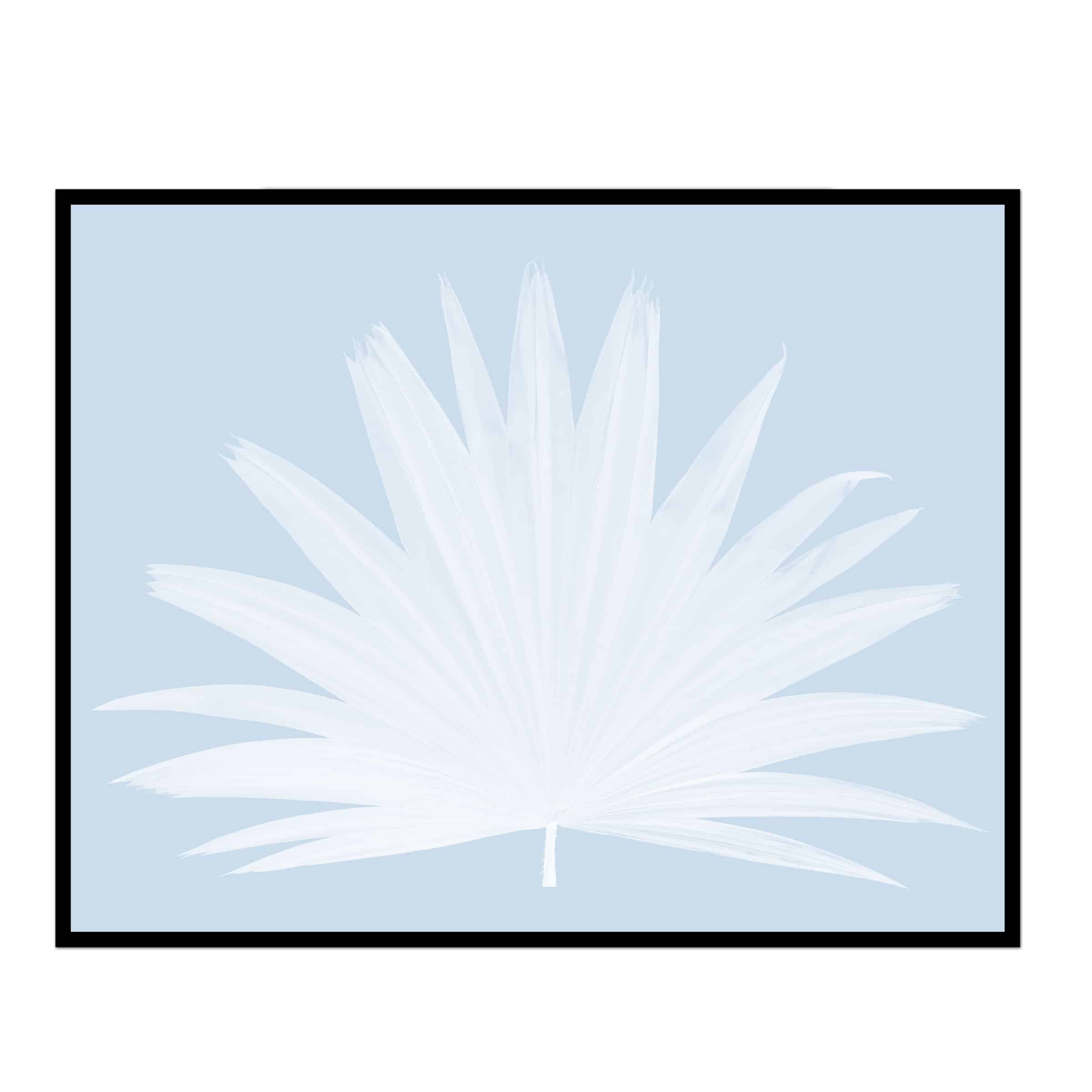 Coastal Art Prints