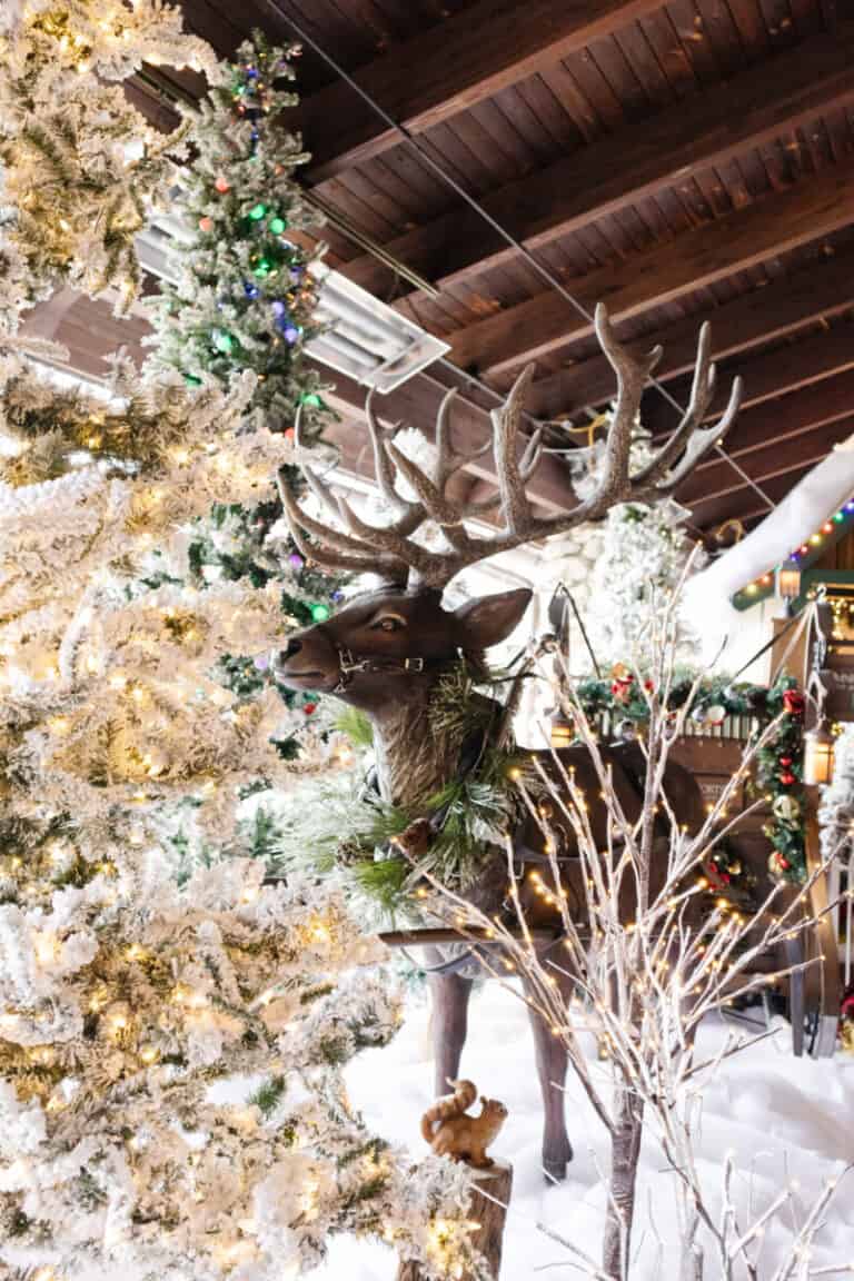 Our Visit to the Omni Grove Park Inn at Christmas The Coastal Oak