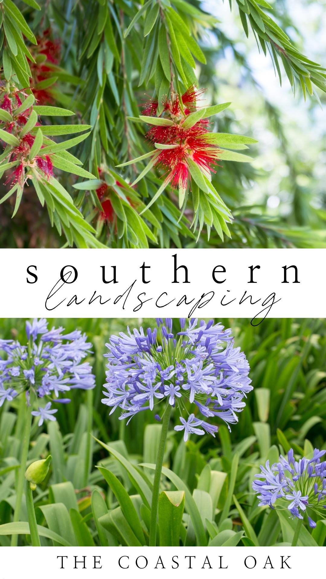 The Best Plants for Coastal Landscaping The Coastal Oak