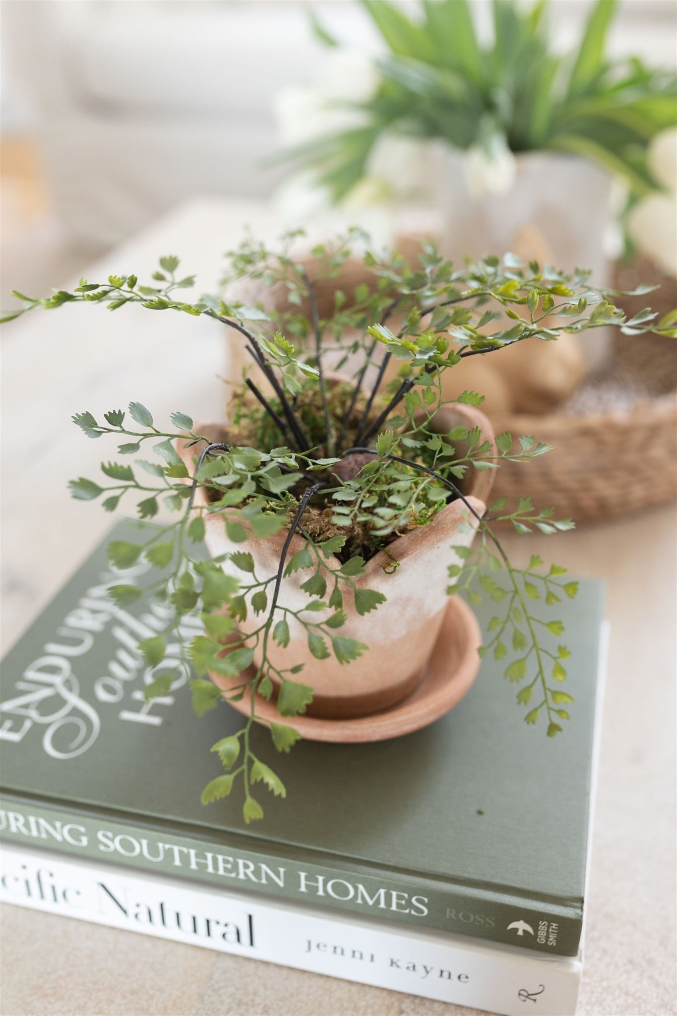 Ferns with terracotta on books for coastal grandmother style decor.