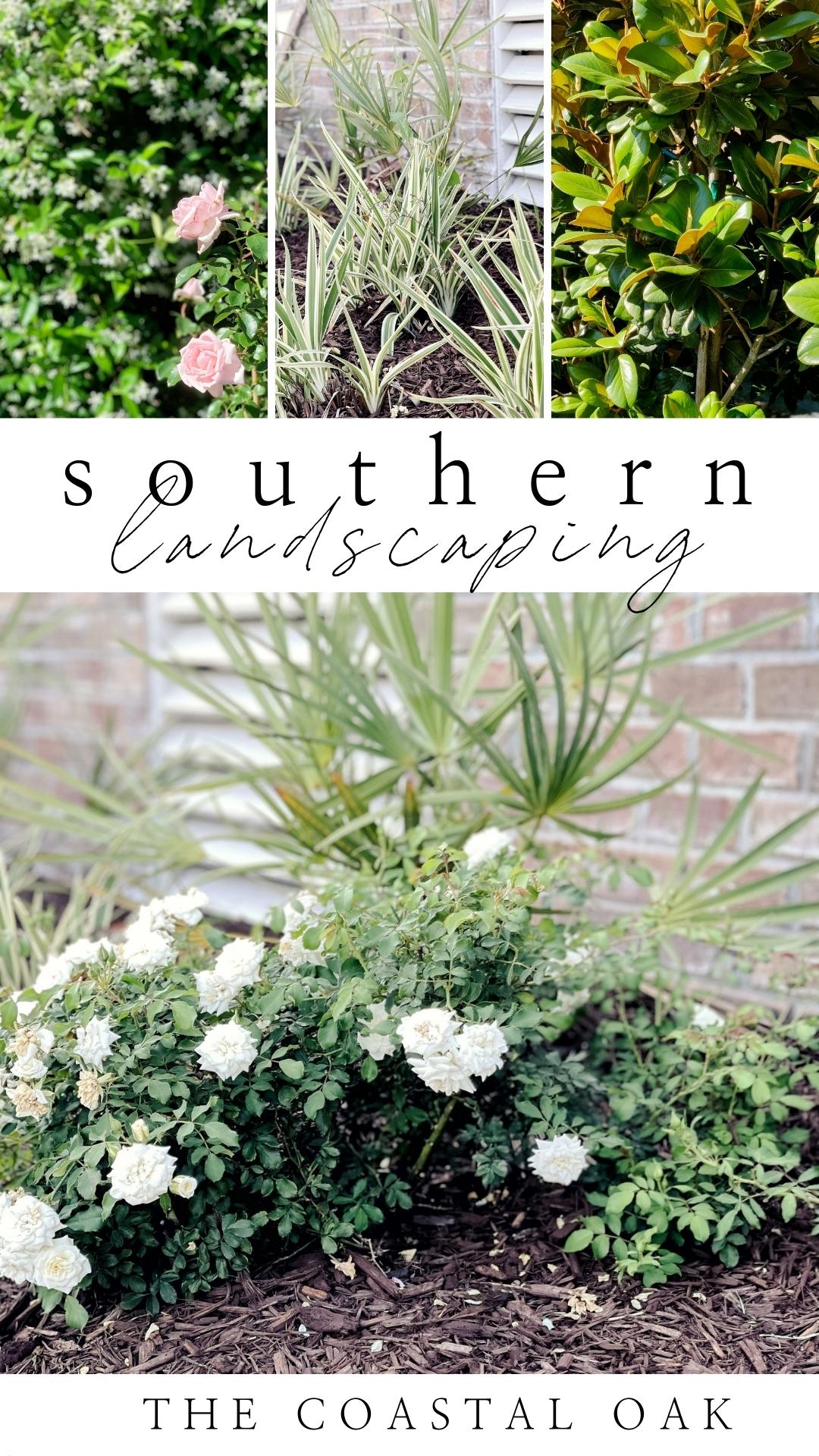 The Best Plants for Coastal Landscaping The Coastal Oak