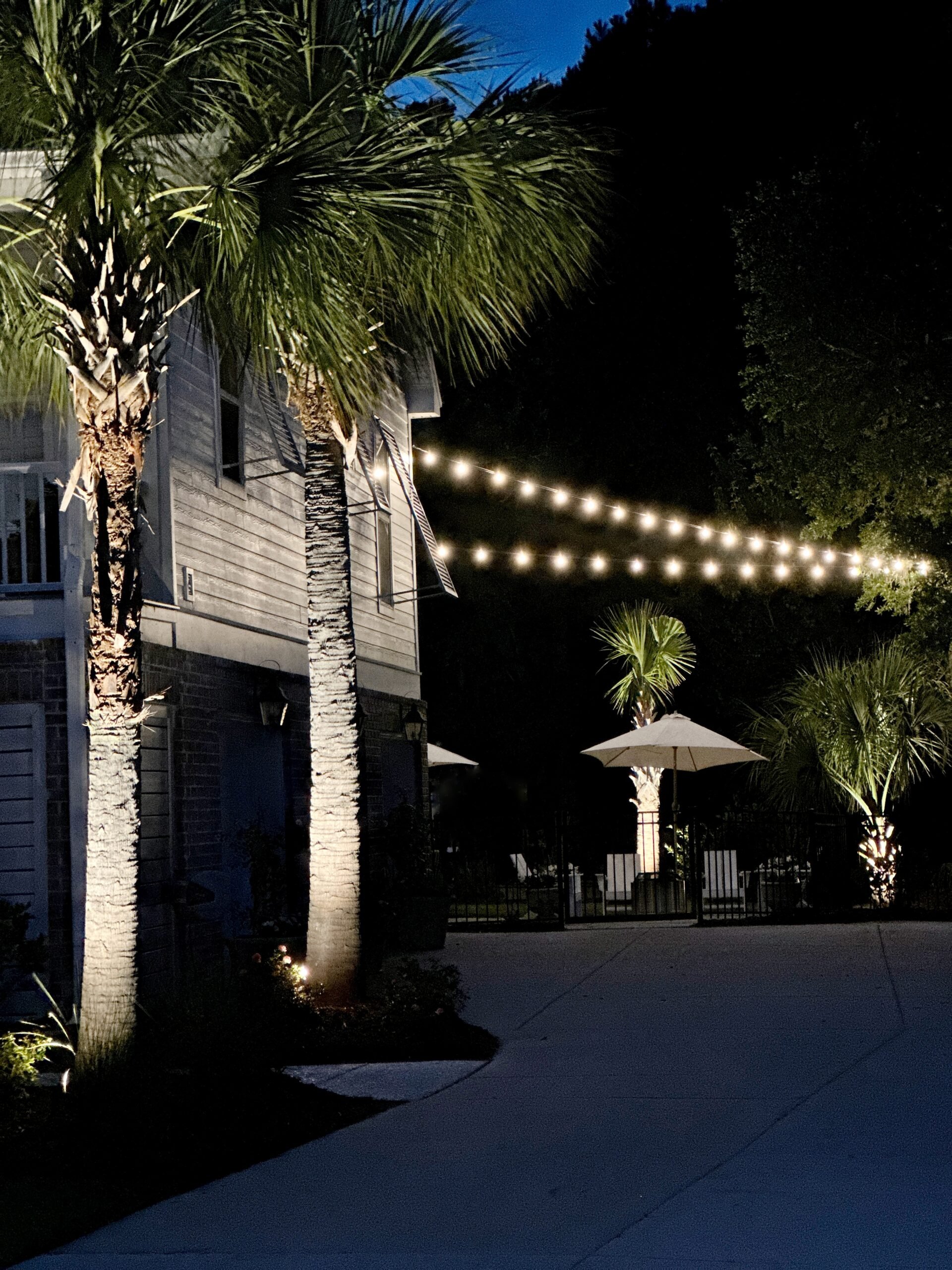 Bistro lightings from oak tree to house.