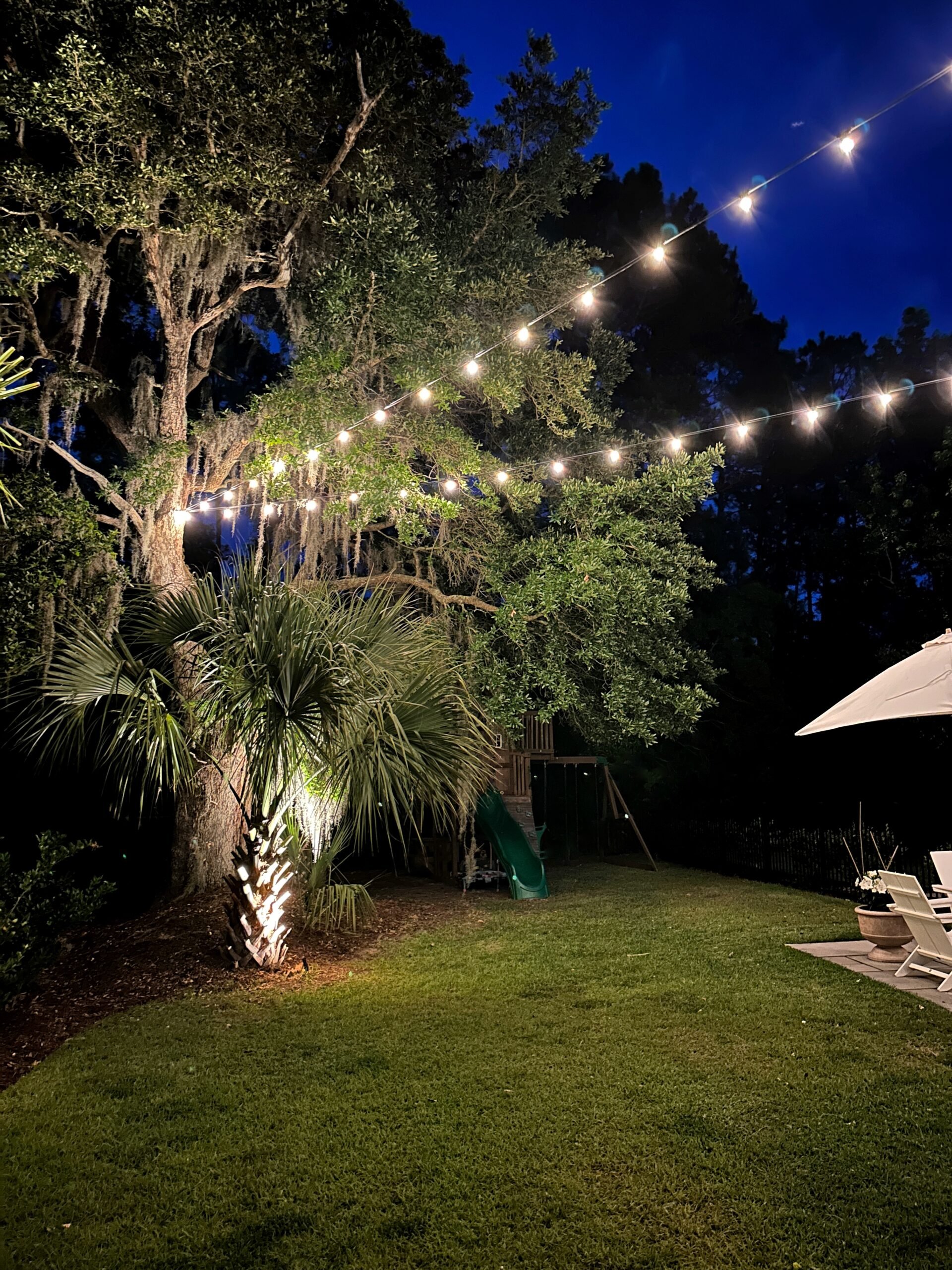 Bistro lights in oak tree with Spanish moss.