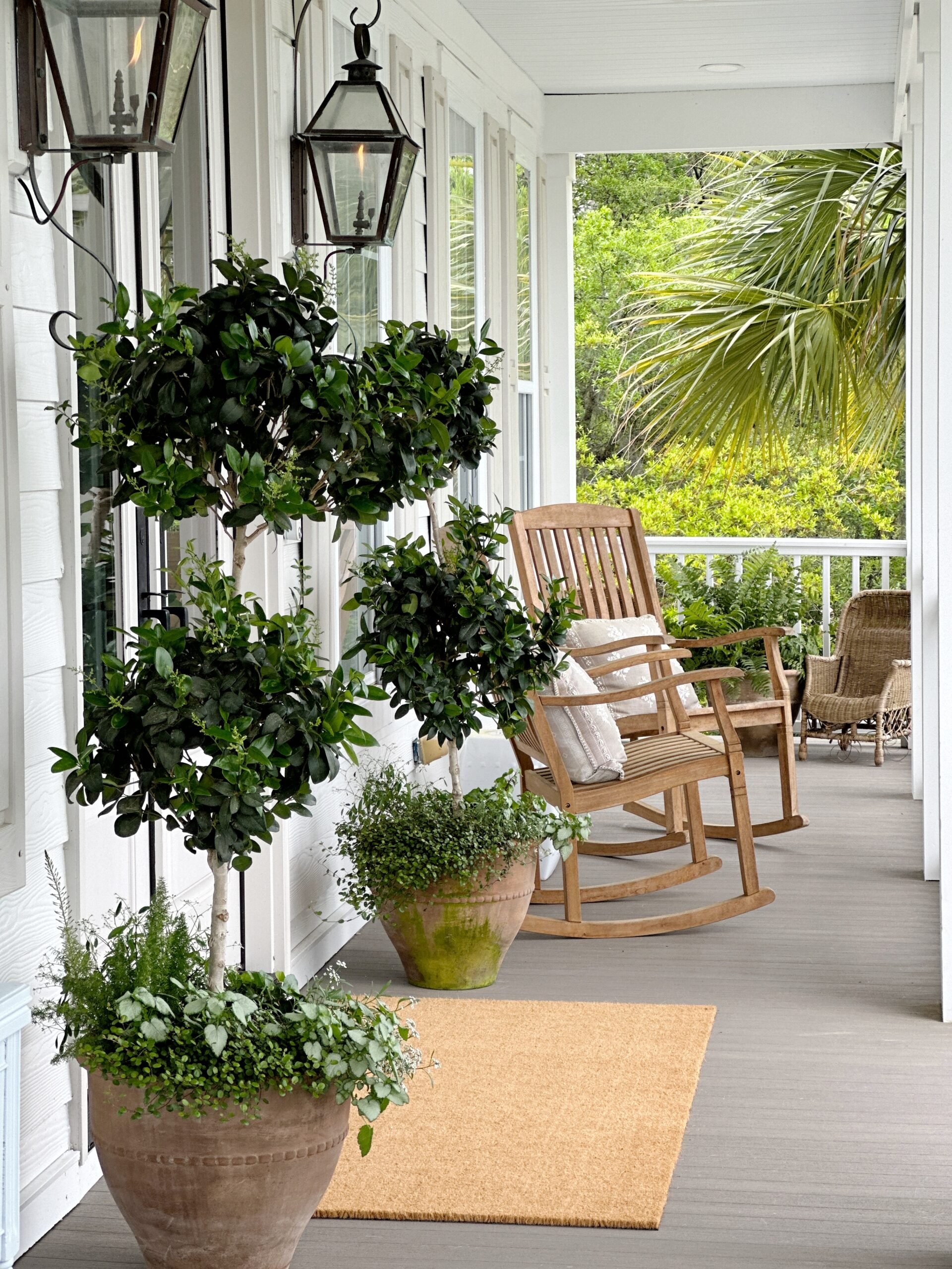 Southern front porch with asparagus fern, foxtail fern, and macho ferns in planters.