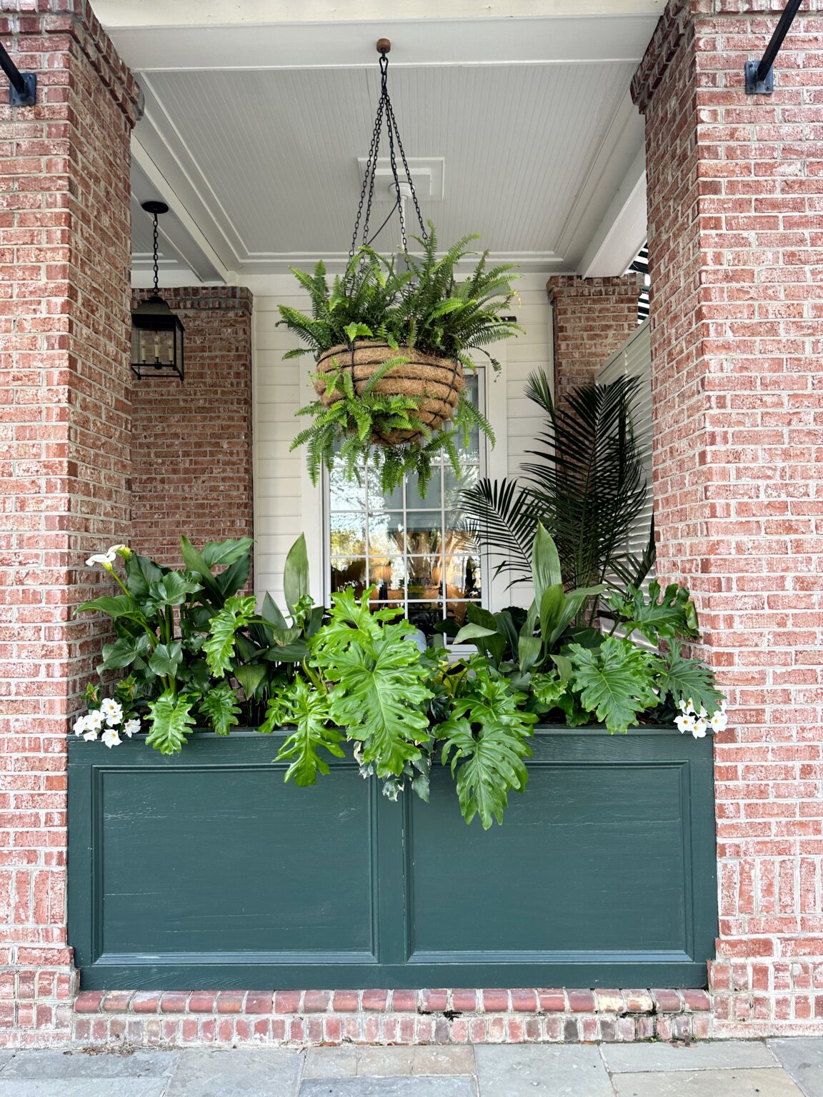 The Best Ferns for Southern Planters & Design The Coastal Oak