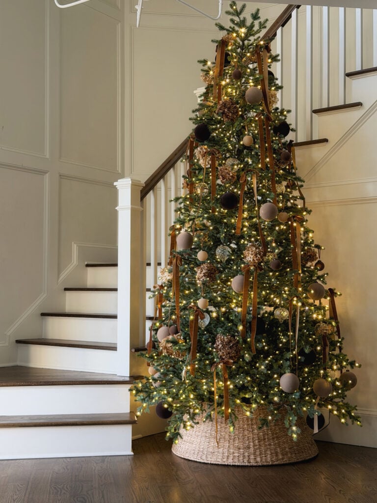 The Coastal Oak’s 2025 Christmas Tree Guide